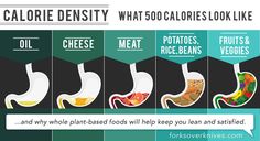 calorie density and why a plantbased diet keeps you lean and satisfied #plantbased Calorie Density, Calorie Dense Foods, Sport Nutrition, Fiber Rich Foods, 1200 Calories, Plant Based Lifestyle, Animal Protein, Healthy Diet Plans, Eat Healthy