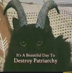 a black cat with horns on it's head sitting on a pillow that says, it's a beautiful day to destroy patrick