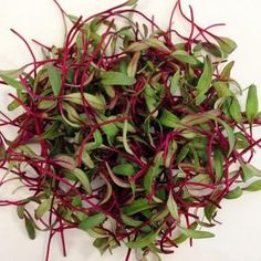 some red and green sprouts on a white surface