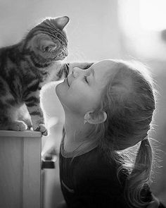 Cat People, Cute Love Pictures, White Photo, Pretty Cats, Animals Friends, Cat Love