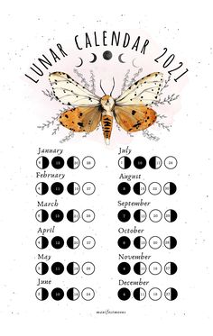 a calendar with an orange butterfly on it's back and the words lunar calendar 2011