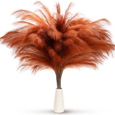 an orange feather plant in a white vase