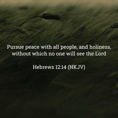 Word of God #bible #biblical #text #verse #scripture #peace Scripture About Peace, Peace Bible Verses, Peace Bible Verse, Hebrews 13 8, God's Daughter, Peace Scripture, God Bible, Jesus Artwork