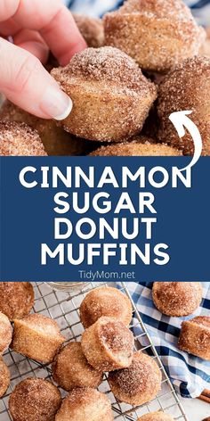 cinnamon sugar donut muffins on a cooling rack with text overlay reading cinnamon sugar donut muffins