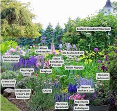 a garden filled with lots of different types of flowers