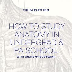 the cover of how to study anatomy in undergrad and pa school