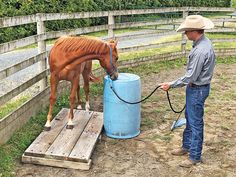 a man standing next to a brown horse near a blue barrel