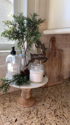 a small potted tree sitting on top of a counter