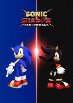 sonic and shadow are in the same image