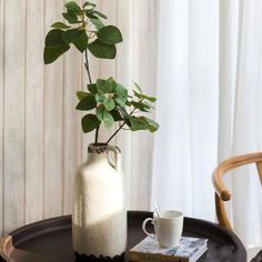 a vase with a plant in it is sitting on a table next to a cup