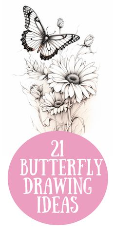 butterflies and daisies with the words, 21 butterfly drawing ideas