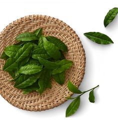 some green leaves are in a wicker bowl