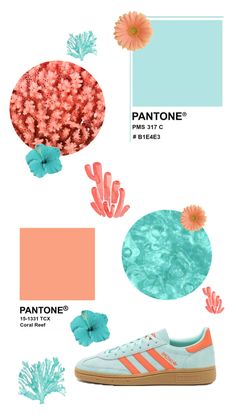 the color scheme for pantone's coral reef