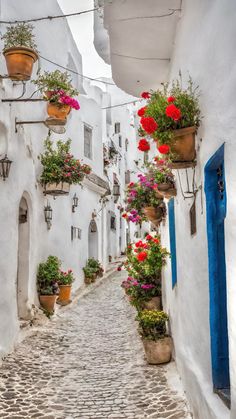 an alleyway with potted plants and flowers on the wall, in whitewashed buildings