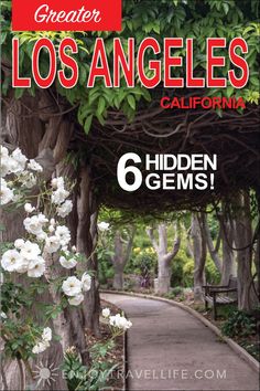 the cover of los angeles california magazine with white flowers growing on trees and walkways