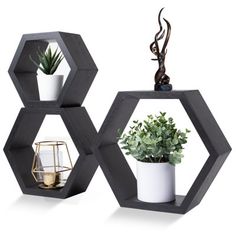 two black hexagonal shelves with plants on top and one holding a potted plant