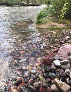 rocks and grass are on the bank of a river