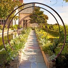 an outdoor garden with lots of plants on the sides and a walkway between two buildings