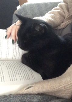 a black cat laying on top of a person's lap while reading a book