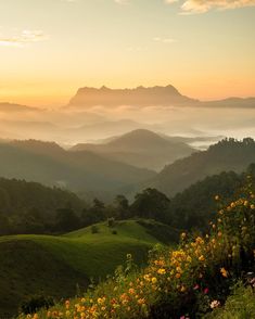 With a view like this, it's no wonder why Doi Luang Chiang Dao in Chiang Mai is always the chosen one for many solace seekers. Cheers to IG : onjeeya for this photo. #AmazingThailand Thailand Aesthetic Chiang Mai, Chiang Mai Thailand Photography, Chiang Mai Aesthetic, Chiang Mai Thailand Aesthetic, Chiang Mai Wallpaper, Bangkok Lifestyle, Thailand Scenery, Thai Photography, Southeast Asia Backpacking