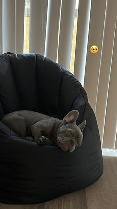 a dog is laying on top of a black bean bag chair in front of the window