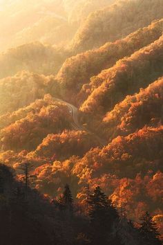 the sun shines brightly on an autumn landscape with trees and mountains in the background