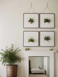 four framed pictures hang on the wall above a fireplace with a bed and potted plant