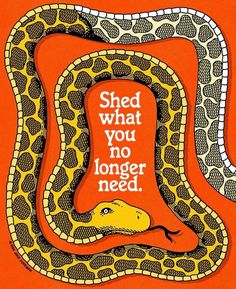 an orange and yellow snake with the words shed what you no longer need on it