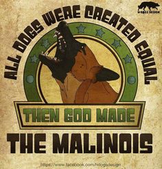 an old poster with the words, all dogs were created equal then god made the malnois