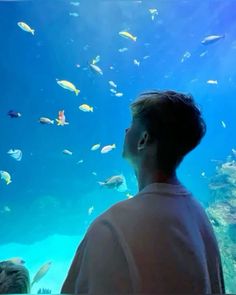 a man looking at fish in an aquarium