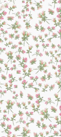 pink flowers on white background with green leaves