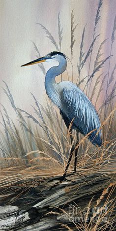 a painting of a blue heron standing in tall grass