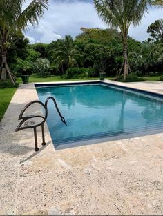 an empty swimming pool surrounded by palm trees