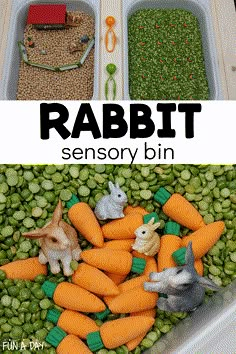 a bin filled with carrots, peas and small toy animals next to the words rabbit sensory bin