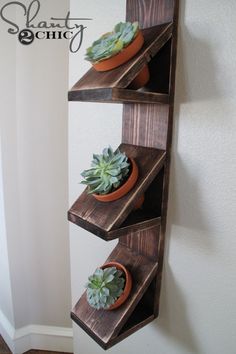 three wooden shelves with plants on them