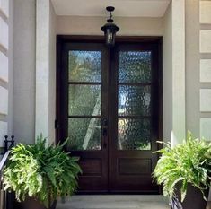 two potted plants sit on the front steps of a house with glass doors and sidelights