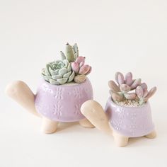 two ceramic pots with succulents in them