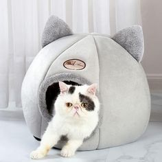 a black and white cat sitting in a grey kitty bed