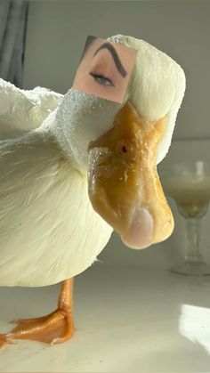 a duck with a sticker on its head is standing in front of a mirror