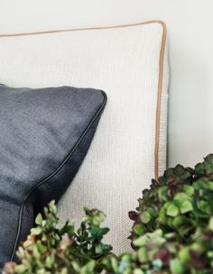 a close up of a pillow on a couch with plants in the corner behind it