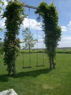 two swings in the middle of a grassy field with trees and bushes growing on them