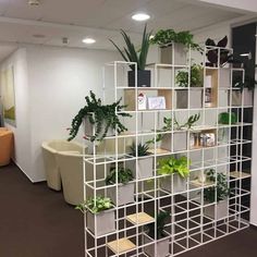 an office cubicle with plants on the shelves