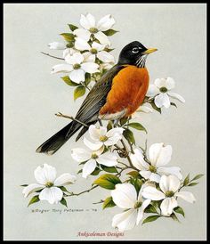 a bird sitting on top of a branch with white flowers