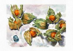 watercolor painting of oranges and leaves on white paper with blueberries in the foreground