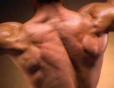 the back of a man's body, showing his upper and lower limbs with no shirt on