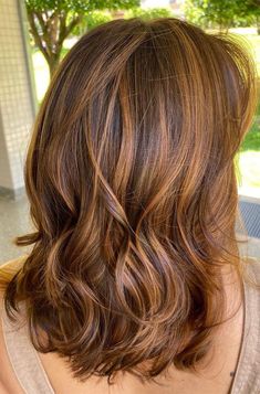 Rambut Brunette, Chestnut Hair Color, Brunette Hair With Highlights, Caramel Highlights, Beautiful Hair Color, Brown Hair Balayage, Brown Highlights