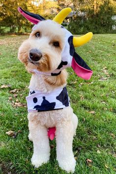 a dog wearing a costume with horns on it's head sitting in the grass