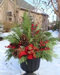 a potted plant in the snow with pine cones, berries and evergreens on it