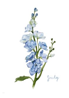 watercolor painting of blue flowers with the word july written in cursive writing