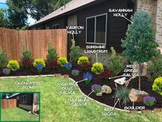 a backyard with various landscaping features